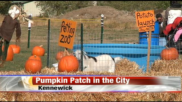 Pumpkin Patch Kennewick
