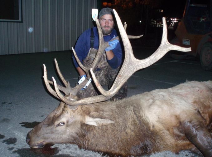 FURTHER INVESTIGATION Hanford Workers Kill Elk On Reservation NBC