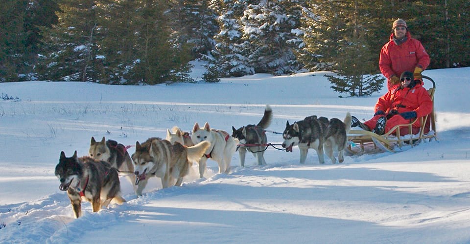 Yakima Man Attempts To Make His Dream A Reality And Dog Sled Thr NBC