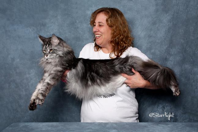 World's Longest Domestic Cat, Originally from Hermiston, Dies - NBC ...